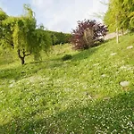 Panoramic View With Garden *