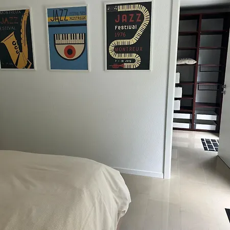 Panoramic View With Garden Montreux