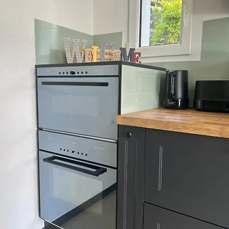 Panoramic View With Garden * Montrö