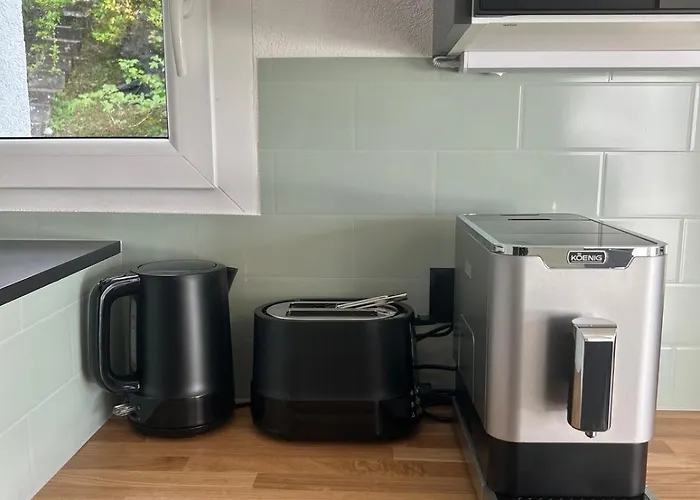 Panoramic View With Garden 公寓 蒙特勒