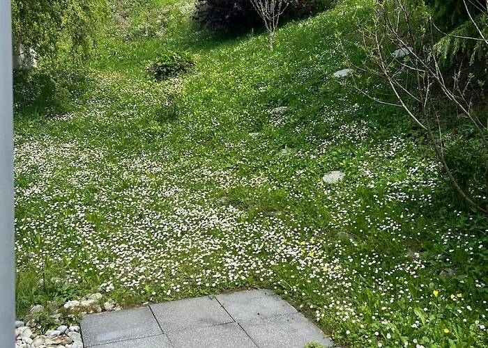 Panoramic View With Garden 公寓 *