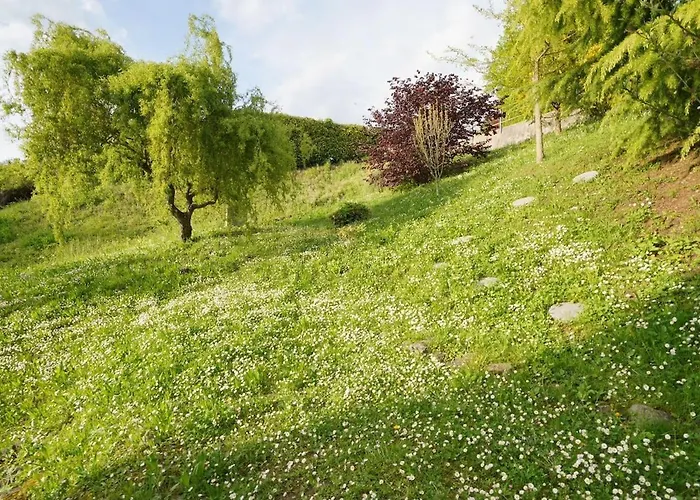 Panoramic View With Garden *