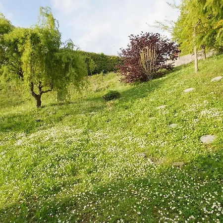 Panoramic View With Garden *